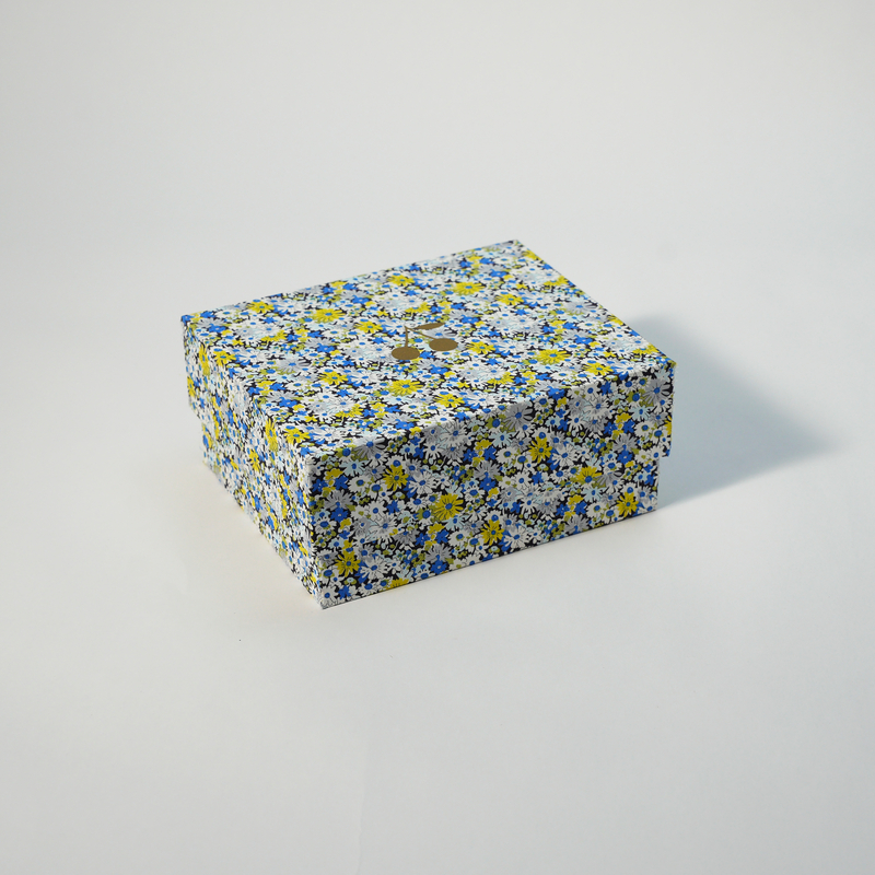 Printed Apparel Boxes for Clothes 