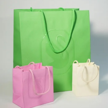 The Power of Customization: Why OEM Coloured Paper Bags Are Essential for Modern Businesses
